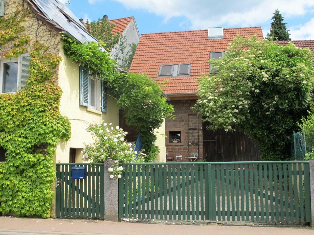 Ferienwohnung Spessart Strassbessenbach Exterior photo